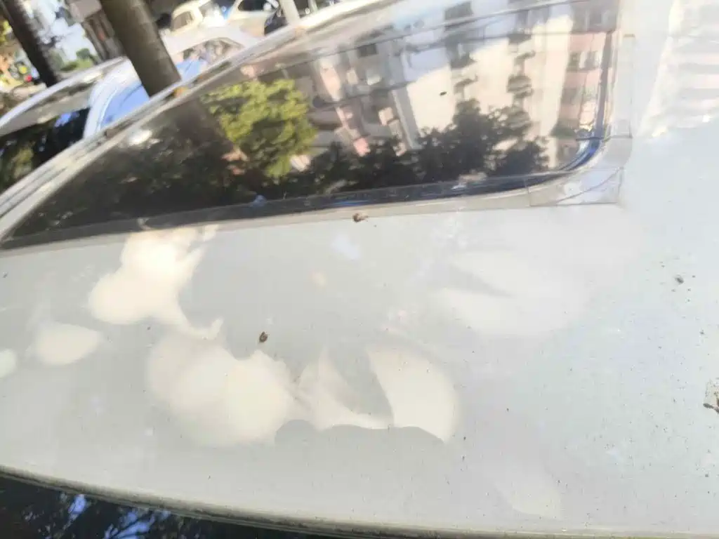 Exeed Lingyun 2021 2021 Model 400T 2WD Star Supreme Edition