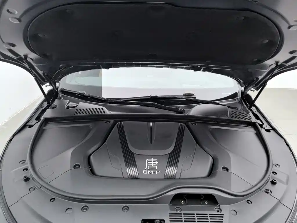 صورة 6 - BYD Tang New Energy