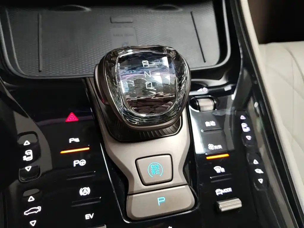 Denza D9 2022 DM-i 970 AWD Flagship фото 10
