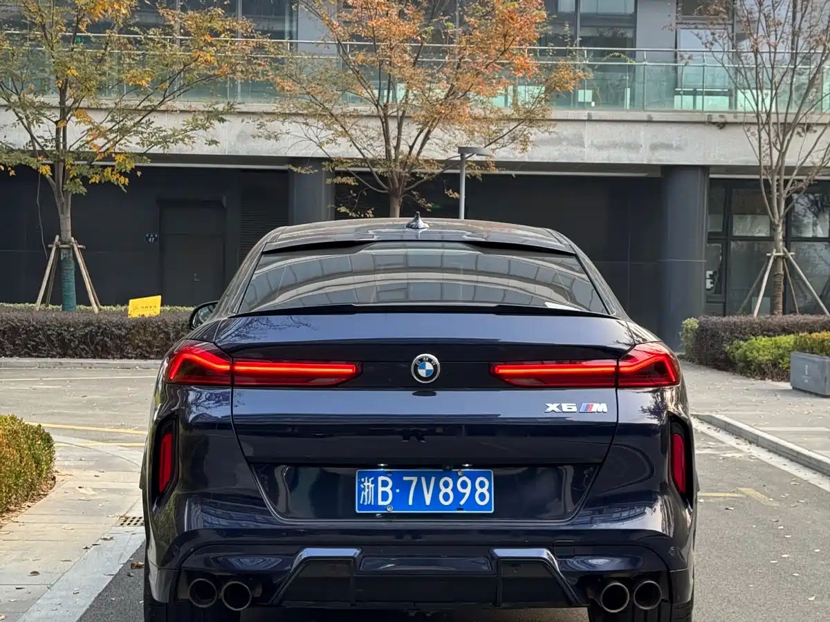 BMW X6M