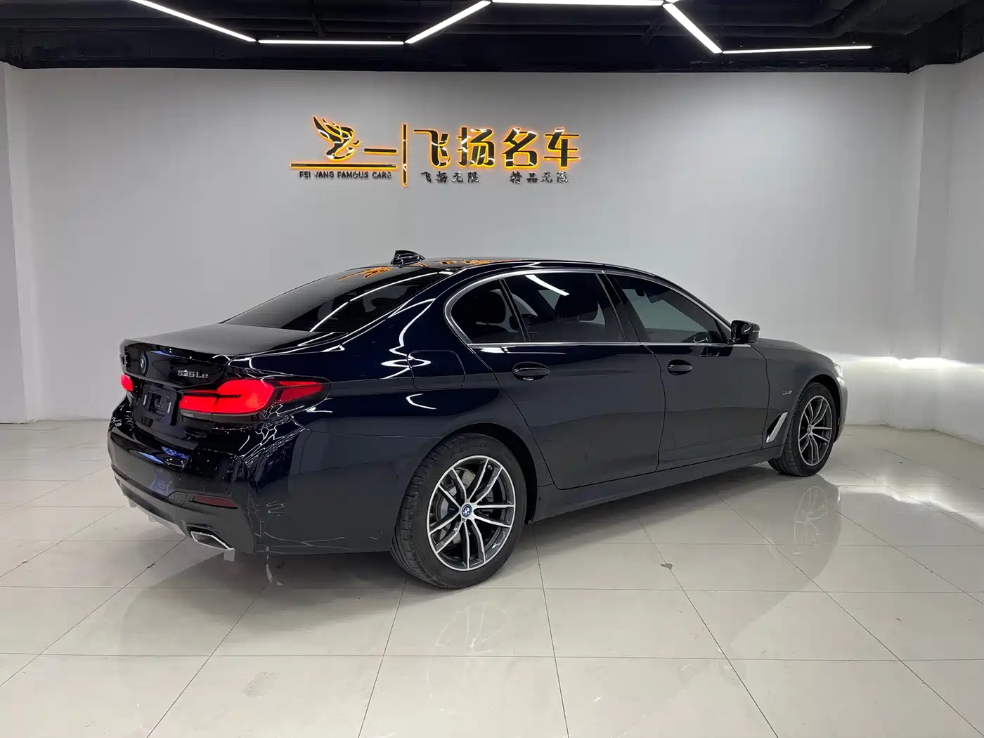 BMW 5 Series New Energy 2022 535Le M Sport Package фото 17