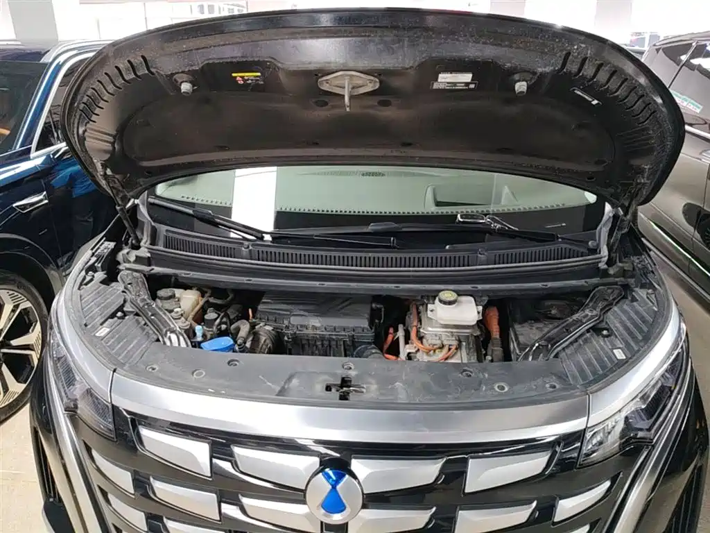 Denza D9 2022 DM-i 970 AWD Flagship фото 16