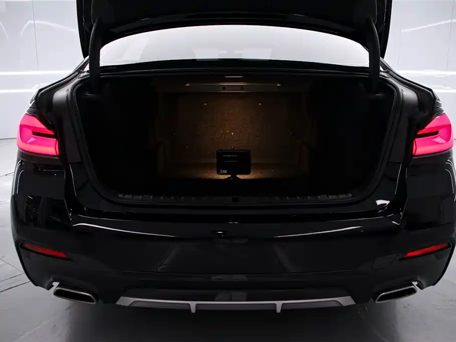 BMW 5 Series 2023 Facelift 530Li Premium M Sport Package фото 15