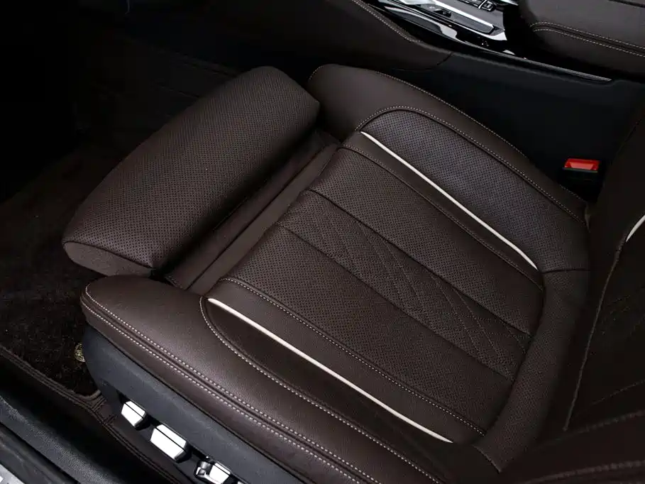 BMW 5 Series 2023 Facelift 530Li Premium M Sport Package фото 13