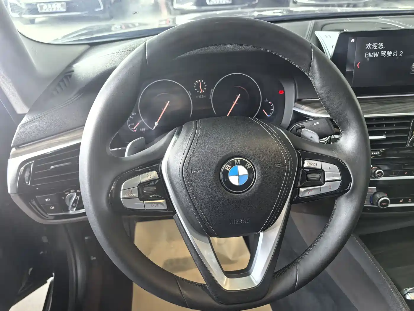 BMW 5 Series 2019 530Li Leading Luxury Package фото 10