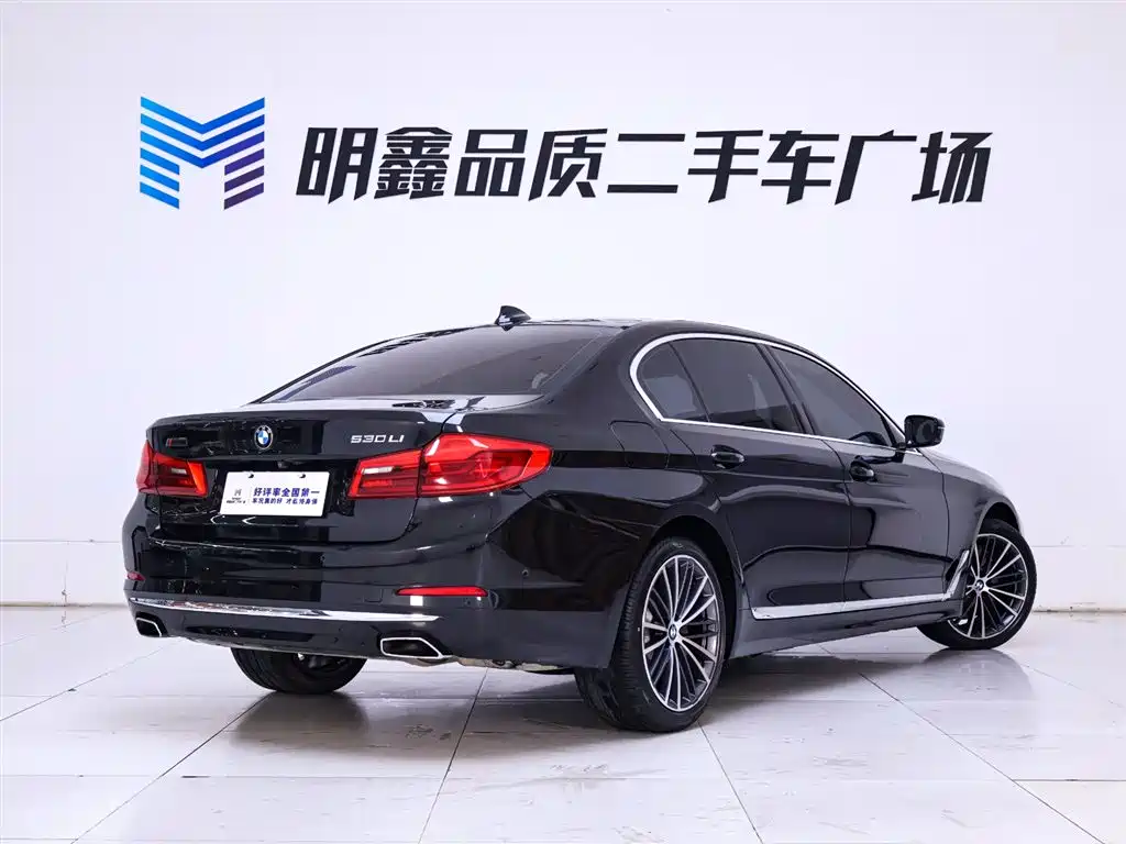 BMW 5 Series 2020 Model 530Li Executive Luxury Package фото 7
