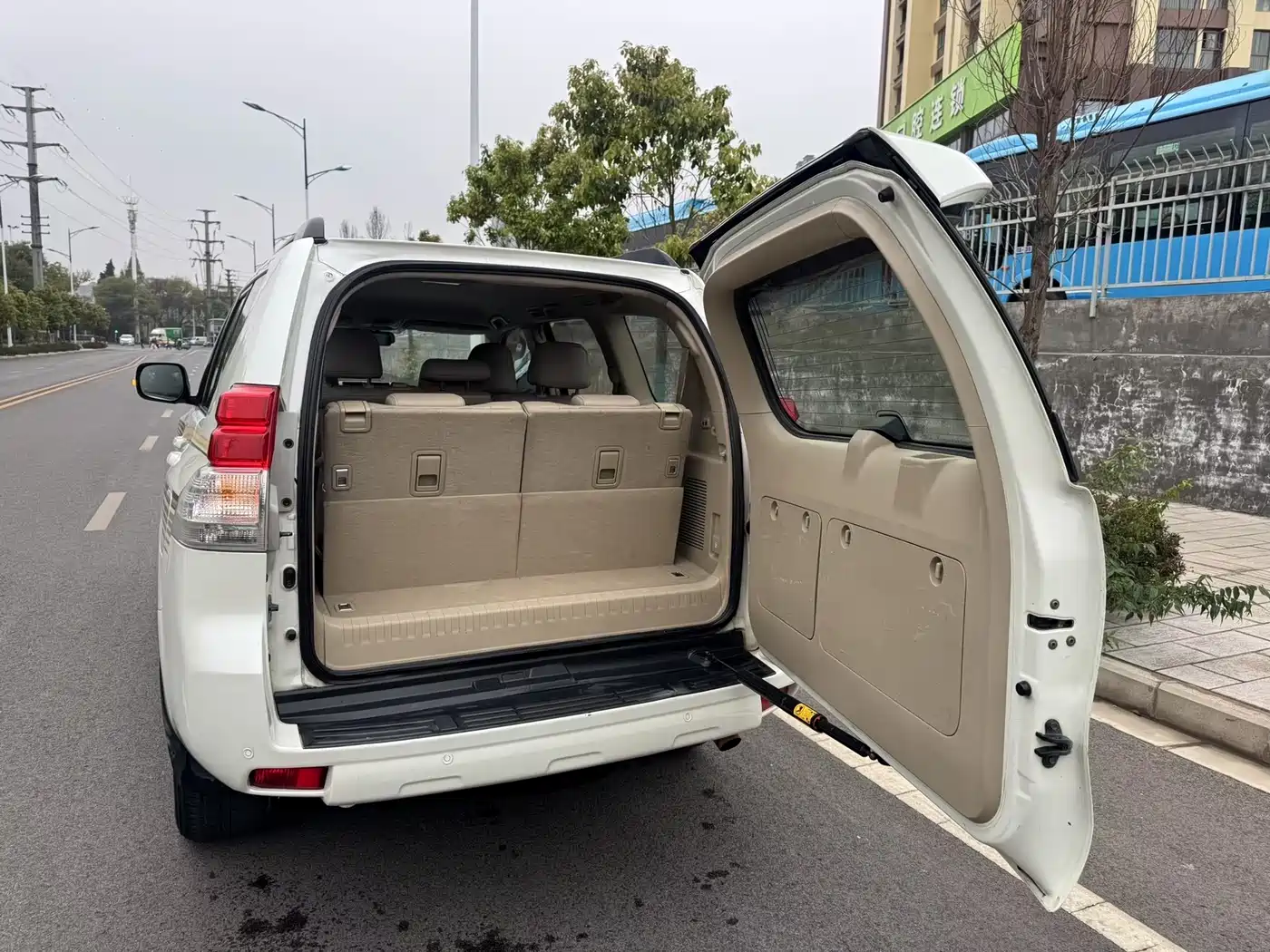 Toyota Prado (Import) 2010 2.7L Automatic Standard фото 9