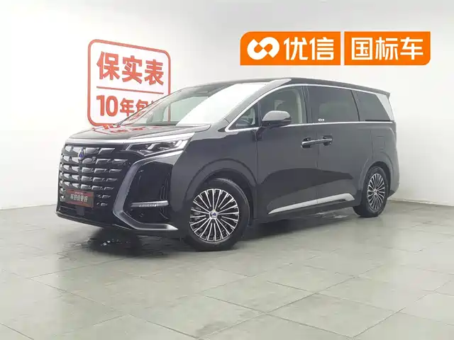Denza D9 2024 DM-i 1050 Premium