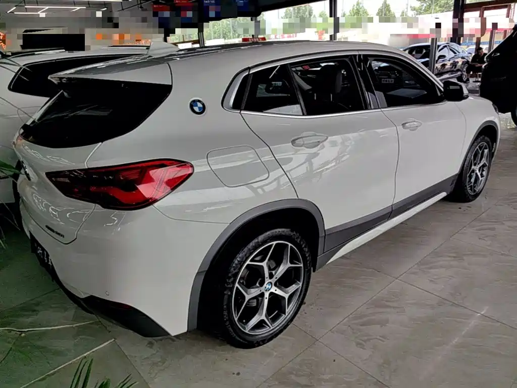 BMW X2 (Import) 2019 2019 sDrive20i M Off-Road Package China VI