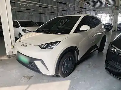 BYD Seagull
