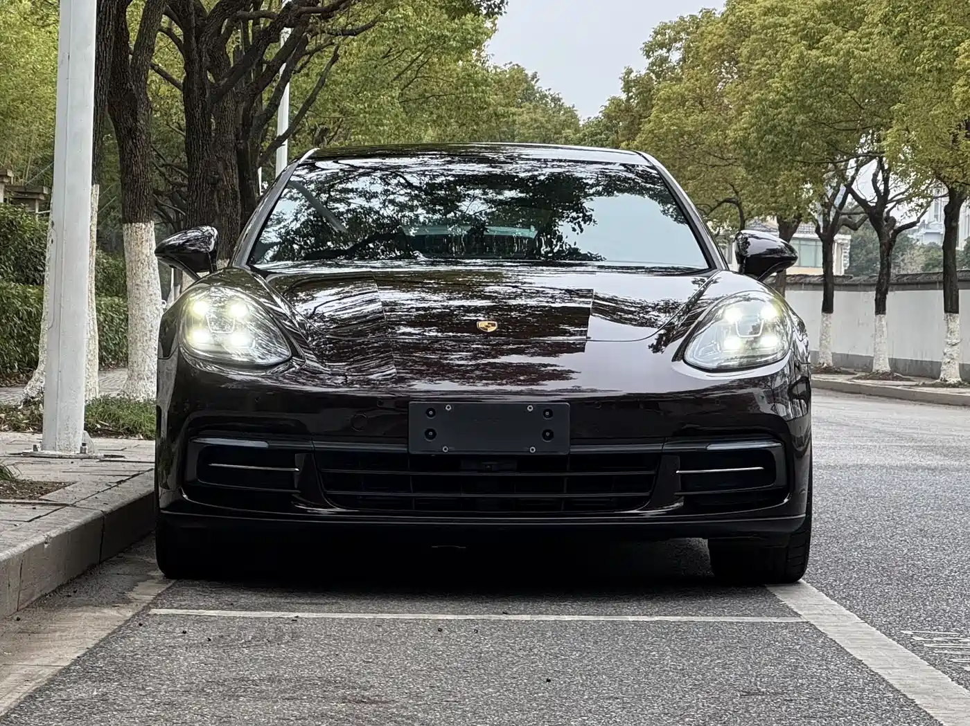 Porsche Panamera 2017 Panamera Executive Long Wheelbase 3.0T фото 2