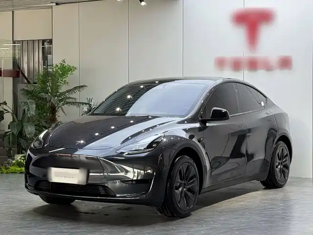 Tesla Model Y Задний привод