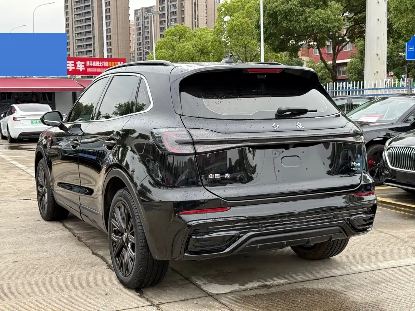 Hongqi HS5 2025 2.0T 2WD Mystic Shadow Edition фото 5