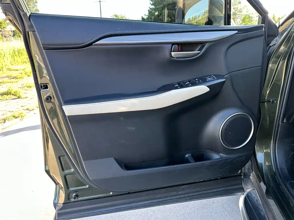 Lexus NX 2020 200 FWD Fengyi Edition China VI фото 13