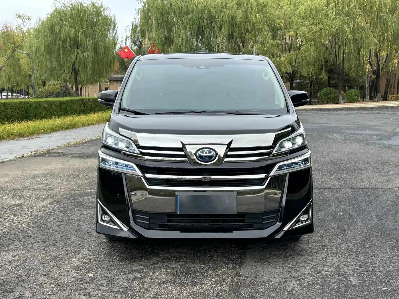 Toyota Vellfire 2019 Hybrid 2.5L HV Premium Edition фото 3