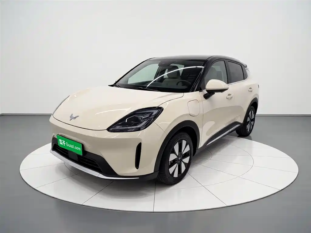 Wuling Motors Wuling Bingo S 2025 Model 325km Premium Edition