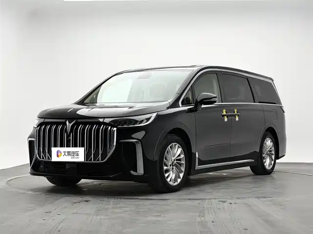 Voyah Auto Voyah Dreamer 2022 Low Carbon Edition Home