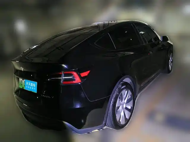 Tesla Model Y 2022 Rear-Wheel Drive Version — фото 2