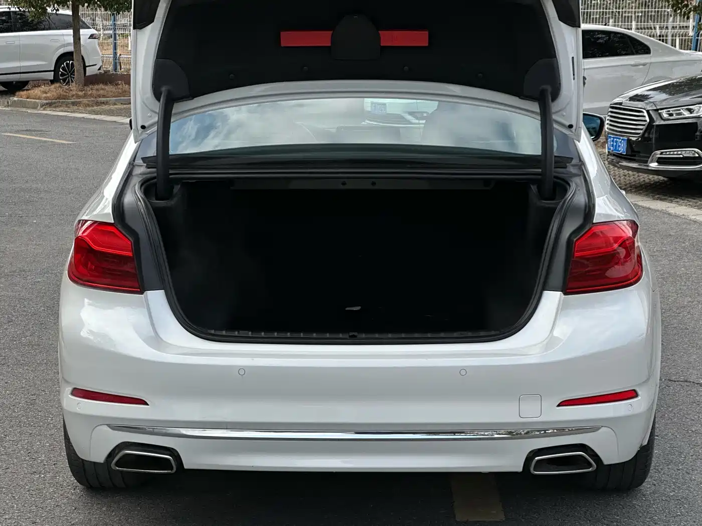 BMW 5 Series 2020 530Li Leading Luxury Package фото 26