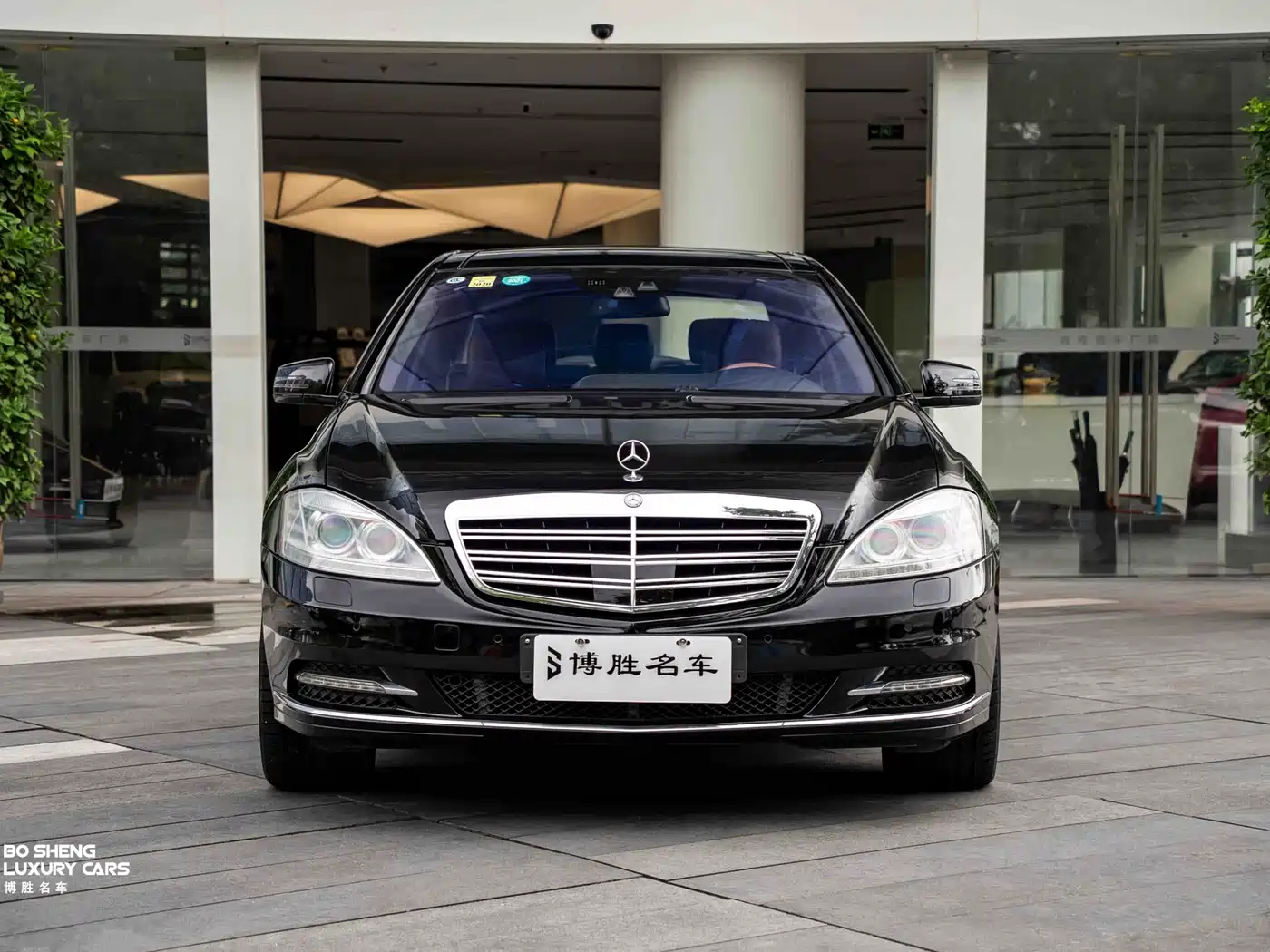 Mercedes-Benz S-Class 2010 S 600 L фото 37