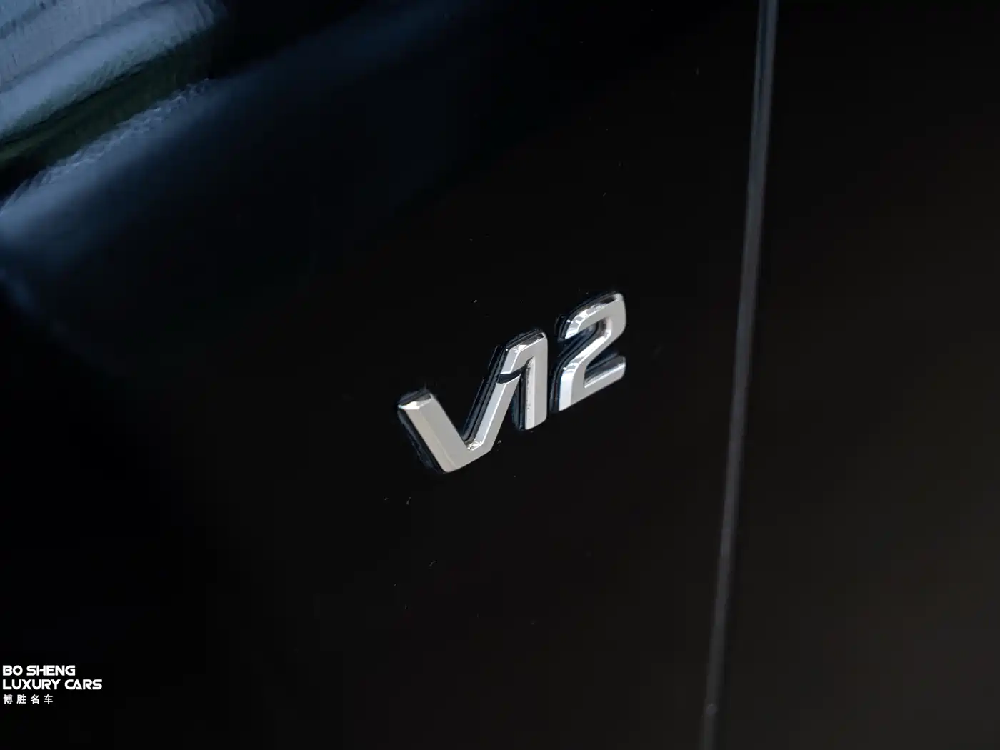 Mercedes-Benz S-Class 2010 S 600 L фото 27