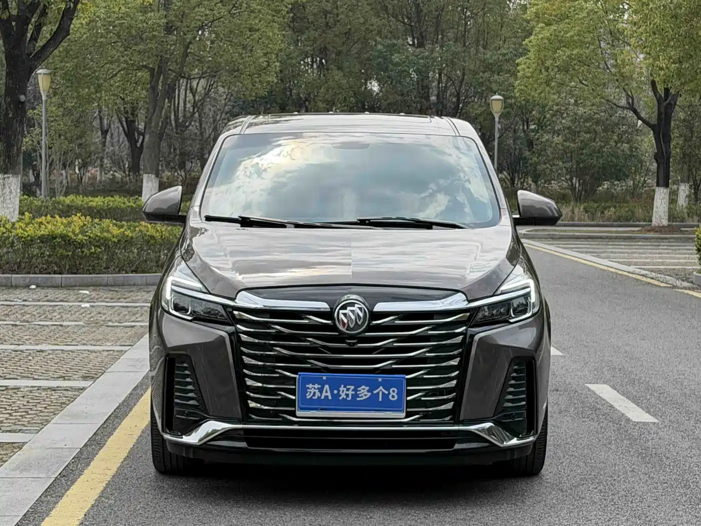 Buick GL8 2023 Land Business Class Premium фото 2
