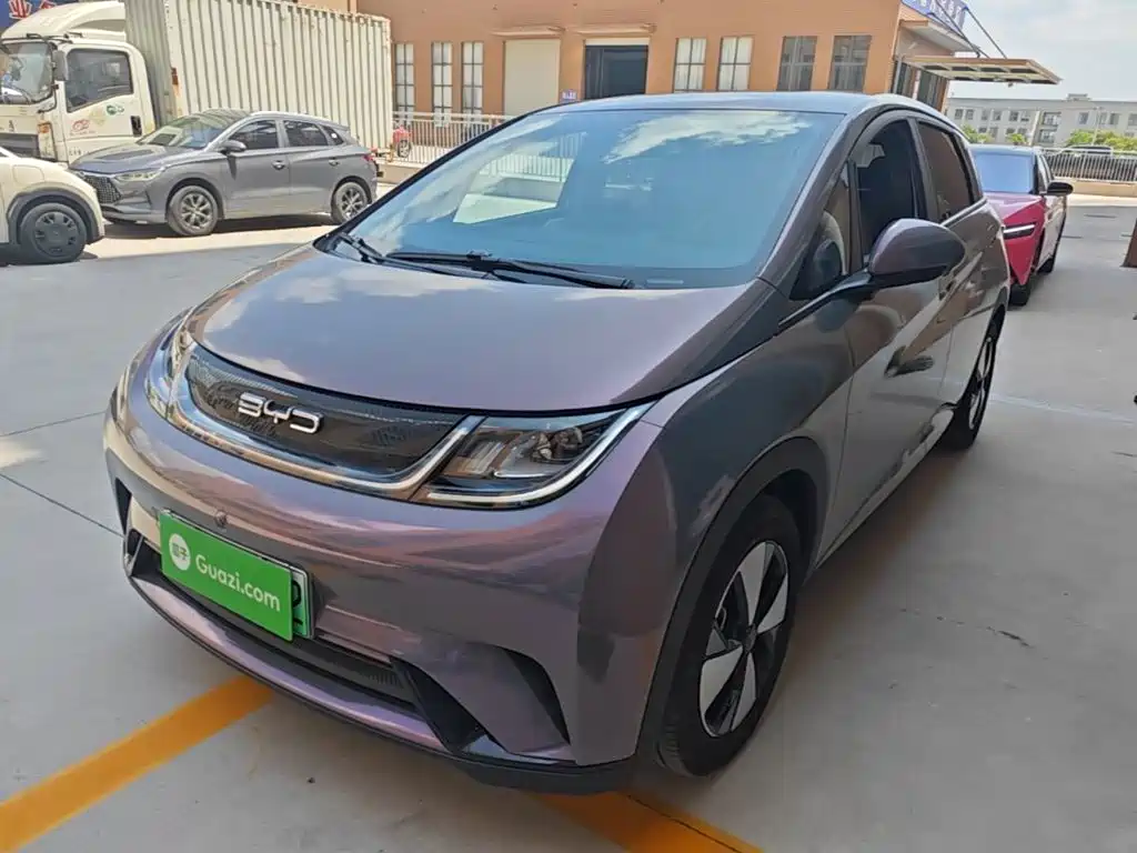 BYD Dolphin 2023 420km Freedom Edition