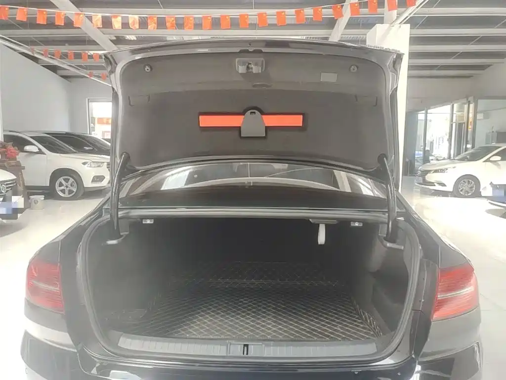 Volkswagen Magotan 2017 330TSI DSG Luxury фото 19
