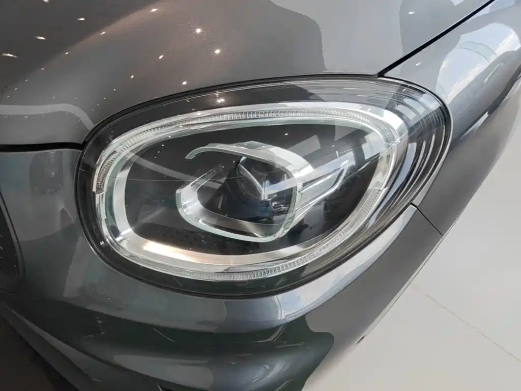 Leapmotor T03 2021 2020 400 Luxury Edition