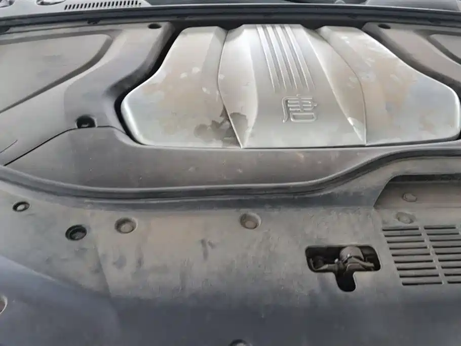 BYD Tang New Energy 2019 EV600D 4WD Smart Connected Creation Leader Type фото 10
