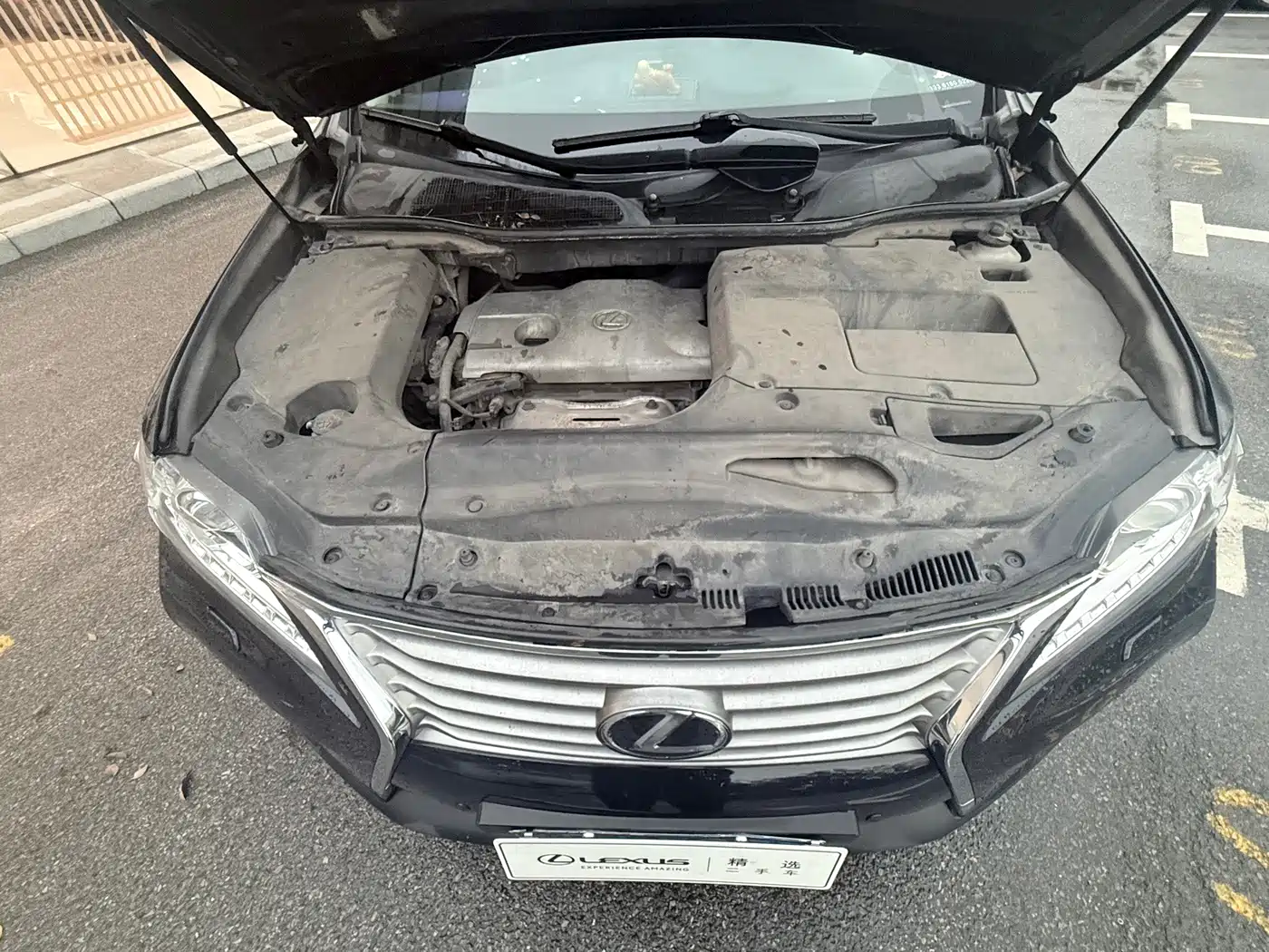 Lexus RX Classic 2014 2013 270 Elite