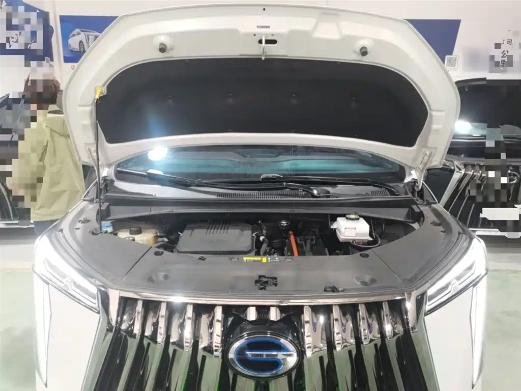 GAC Trumpchi Trumpchi M8 2023 Master Series Dual Hybrid Flagship Edition фото 20