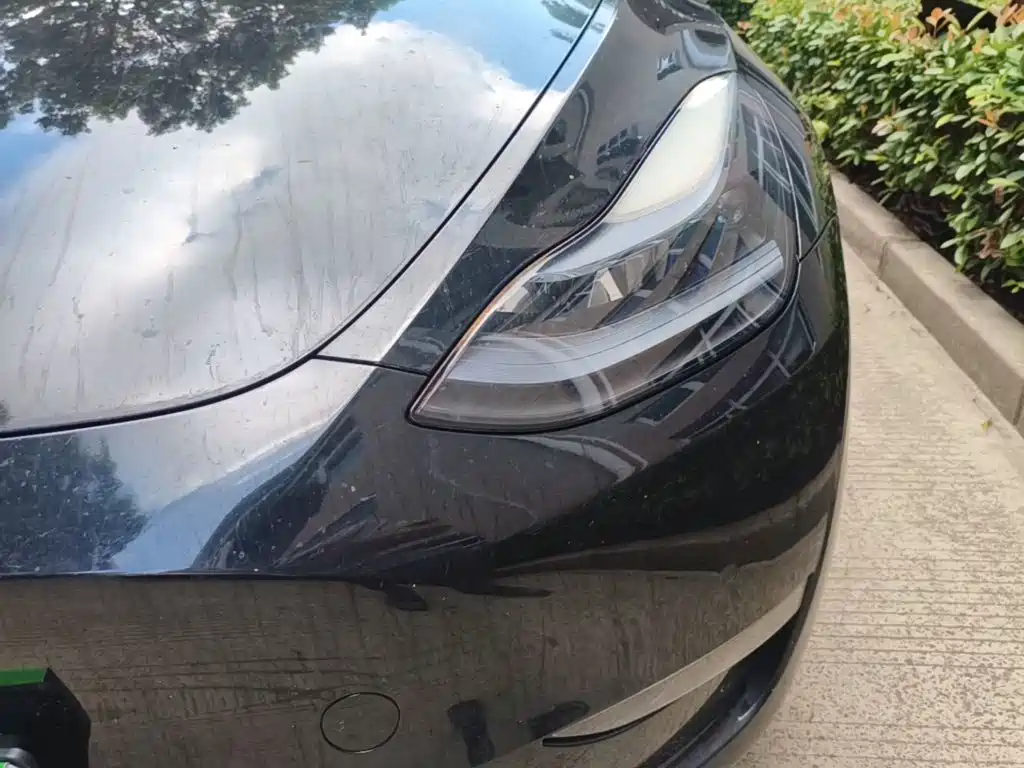 Фото 24 - Tesla Model Y