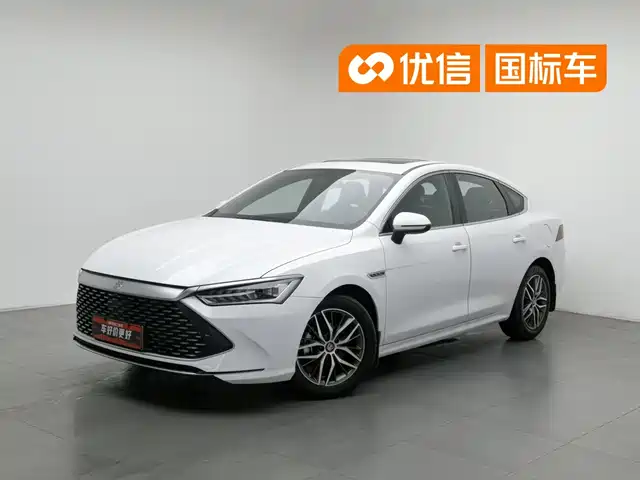 BYD Qin PLUS 2021 DM-i 55KM Flagship — фото 1