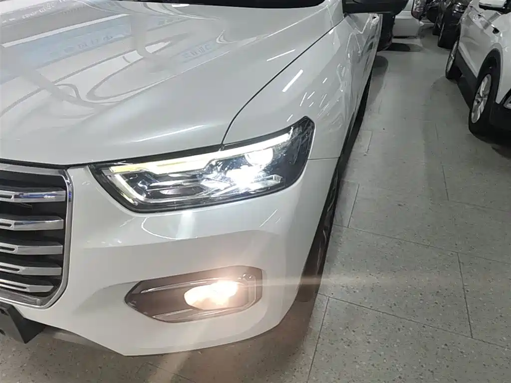 Haval H6 2020 1.5GDIT Automatic Platinum Champion Edition фото 24