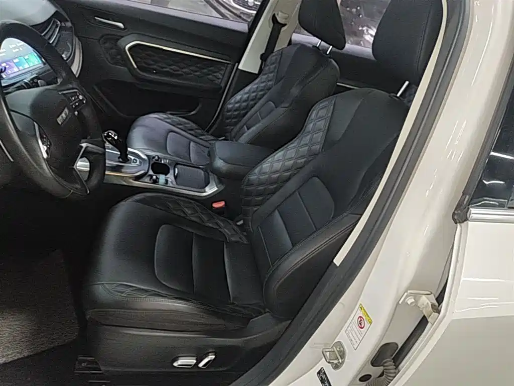 Haval H6 2020 1.5GDIT Automatic Platinum Champion Edition фото 15