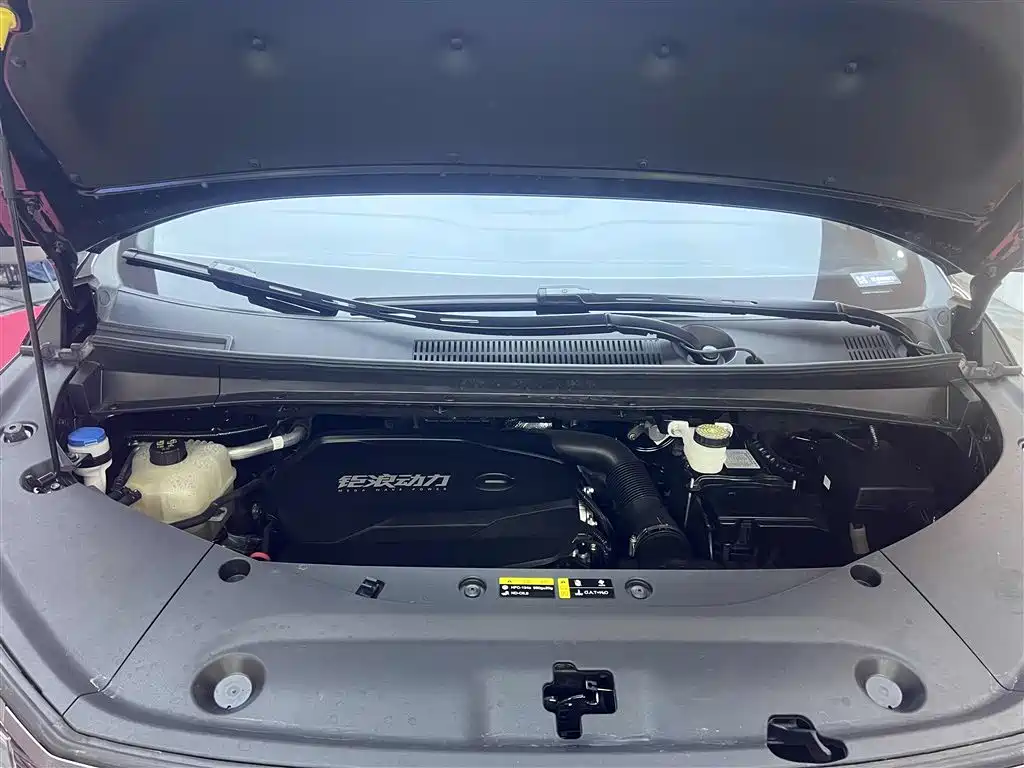 GAC Trumpchi Trumpchi M8 2024 Master Series 400T Premium Edition фото 21