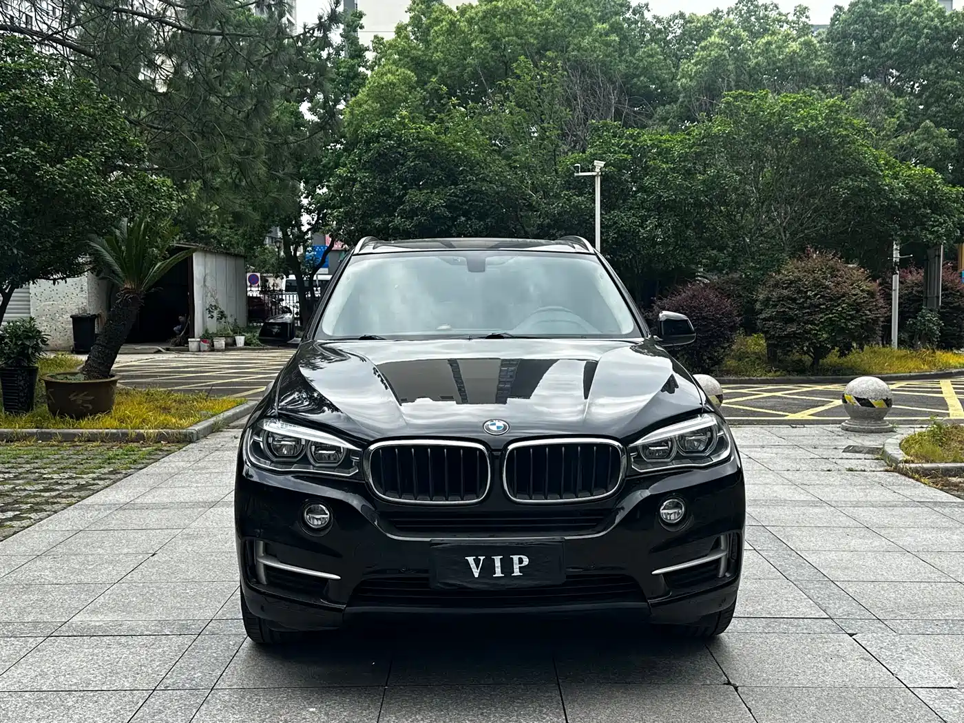 BMW X5 (Import) 2017 xDrive35i Elegance фото 2