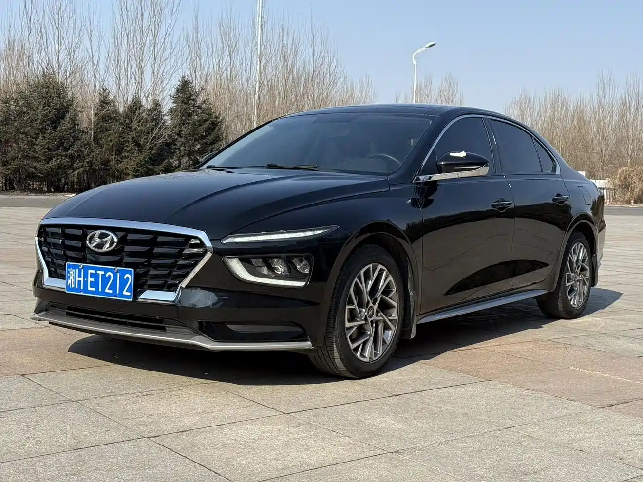 HYUNDAI NAME PICTURE