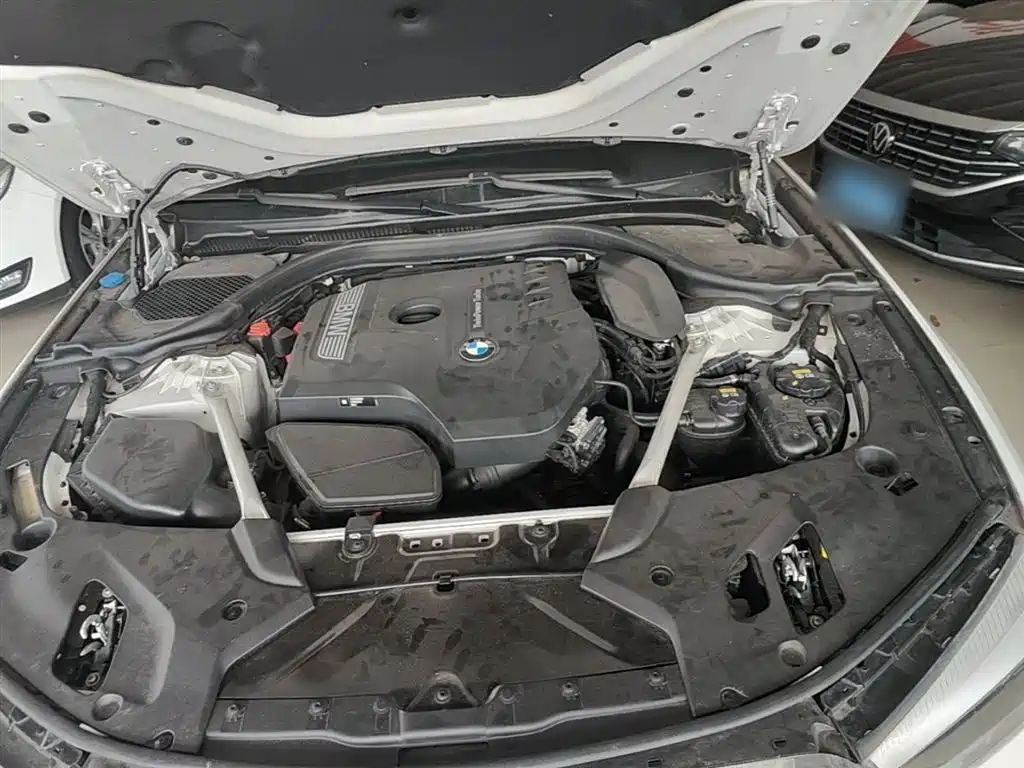 BMW 5 Series 2020 525Li M Sport Package фото 20