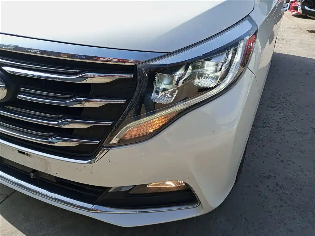 GAC Trumpchi Trumpchi M8 2018 320T Premium Edition фото 3