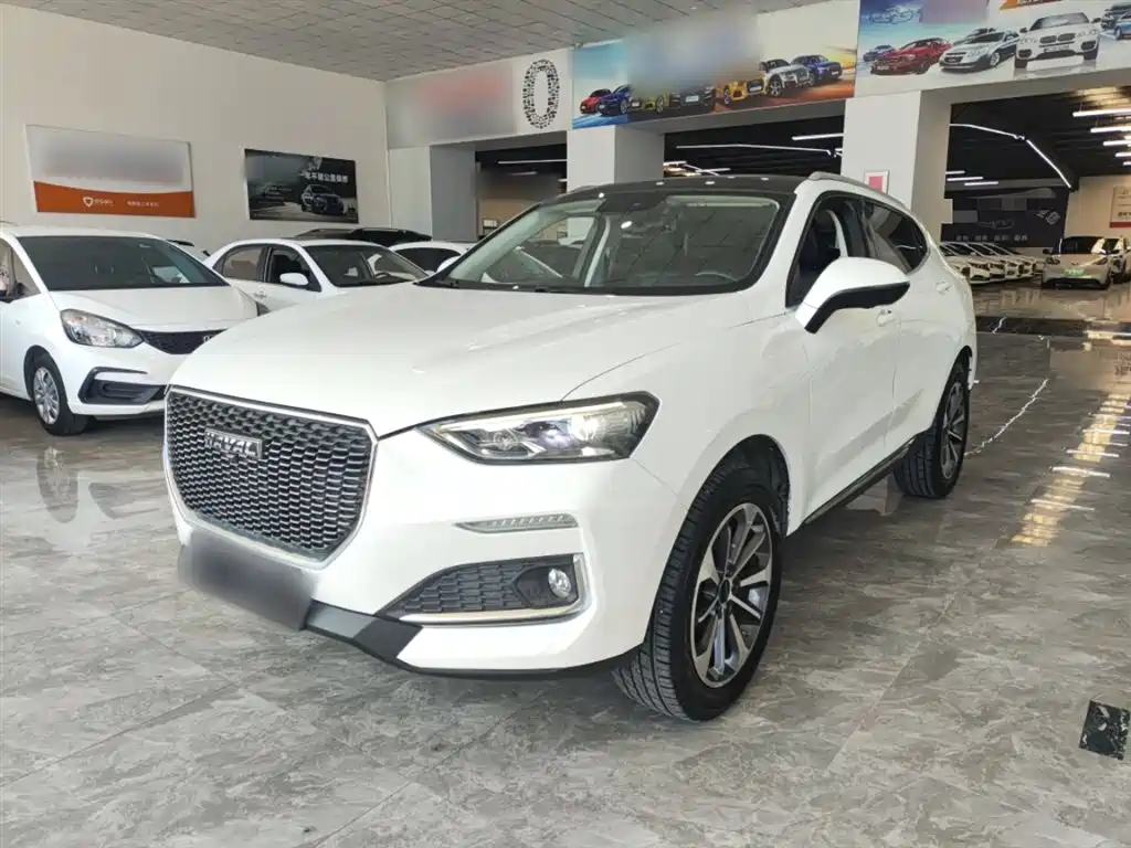 Haval F5 2019 National Trend Edition 1.5T iTrend China VI фото 2