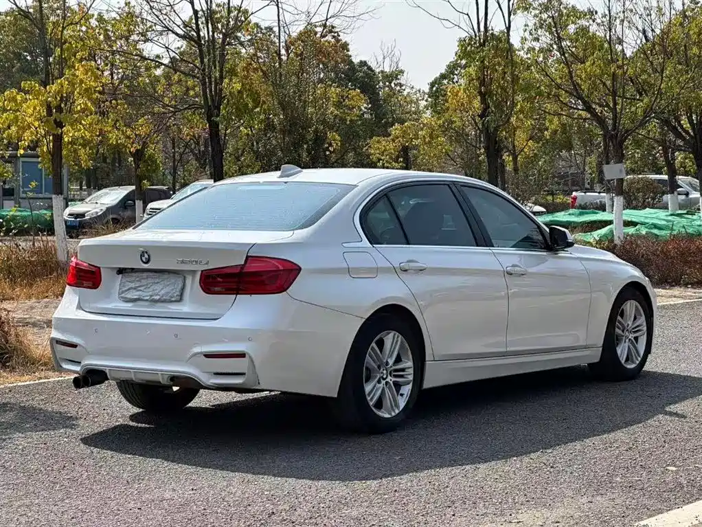 BMW 3 Series 2017 320Li Luxury Design Package фото 7