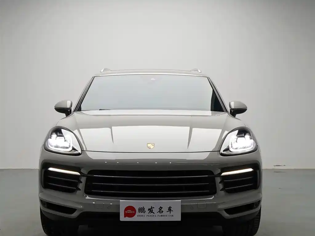 Porsche Cayenne 2019 Cayenne 3.0T фото 2