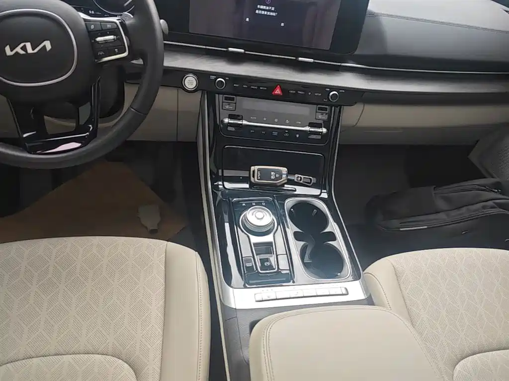 Kia Carnival 2021 2.0T Luxury Edition фото 14