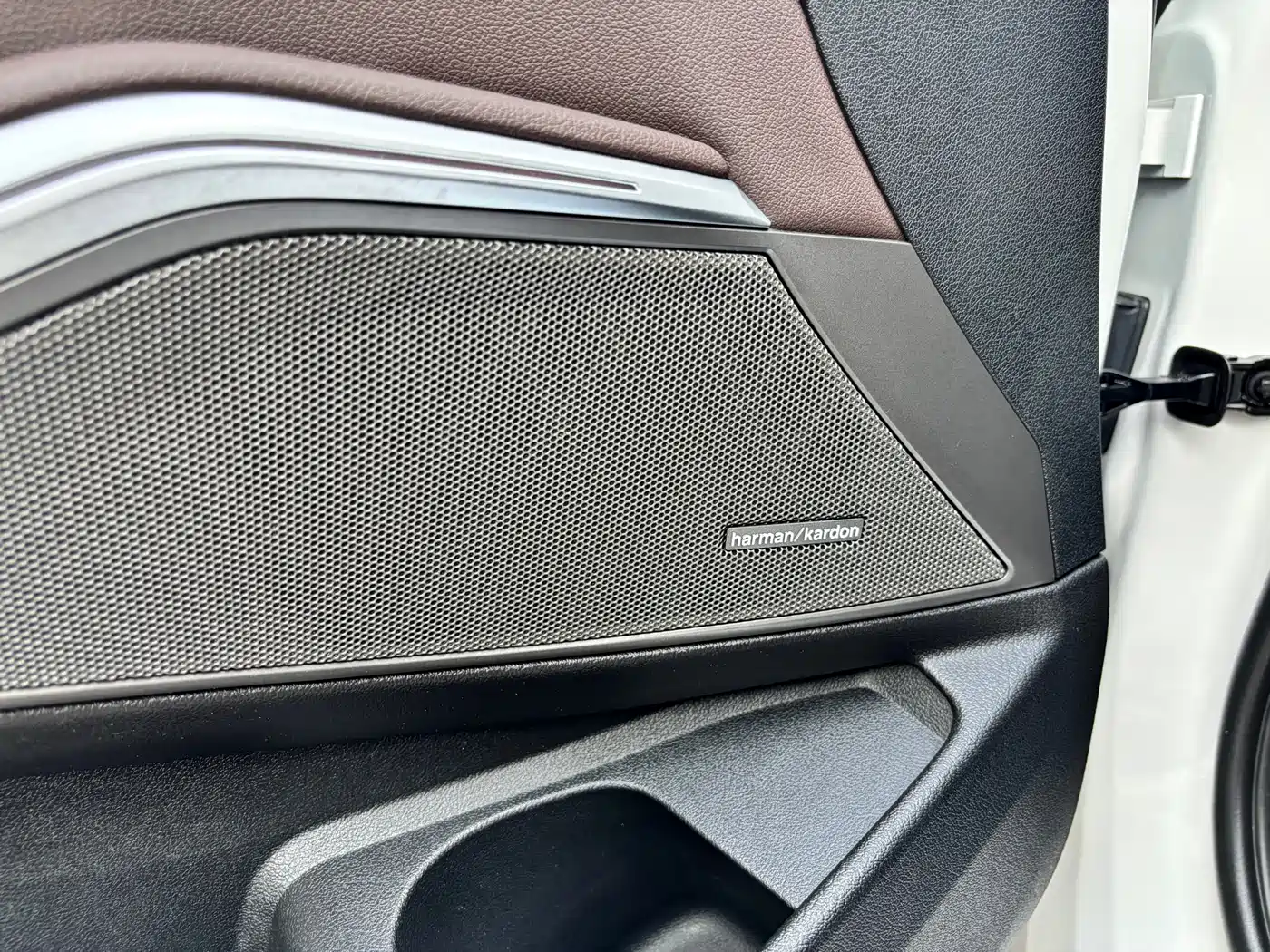 BMW 3 Series 2020 325Li M Sport Black Night Package фото 14