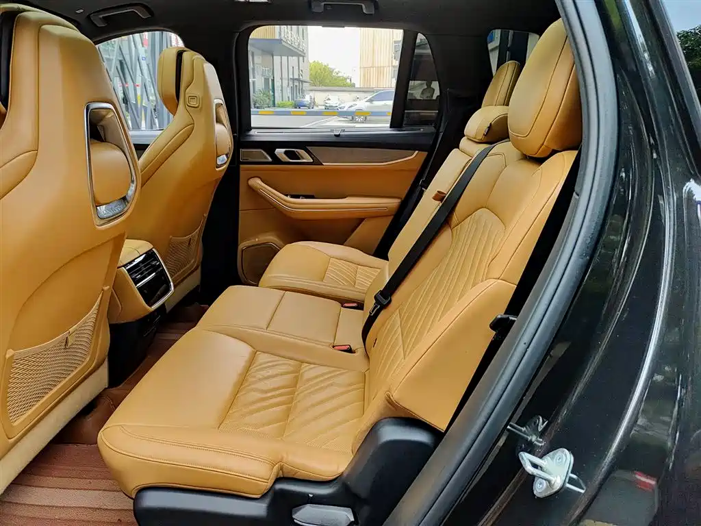 Lynk & Co 09 2024 2.0T 4WD Global Version 7-seater фото 8