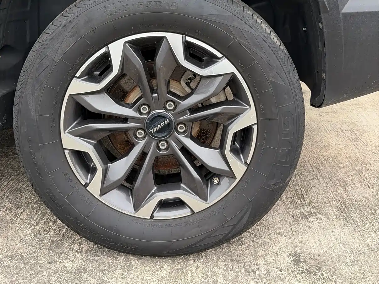 Haval Big Dog 2021 2.0T DCT 4WD Chinese Rural Dog Edition фото 13
