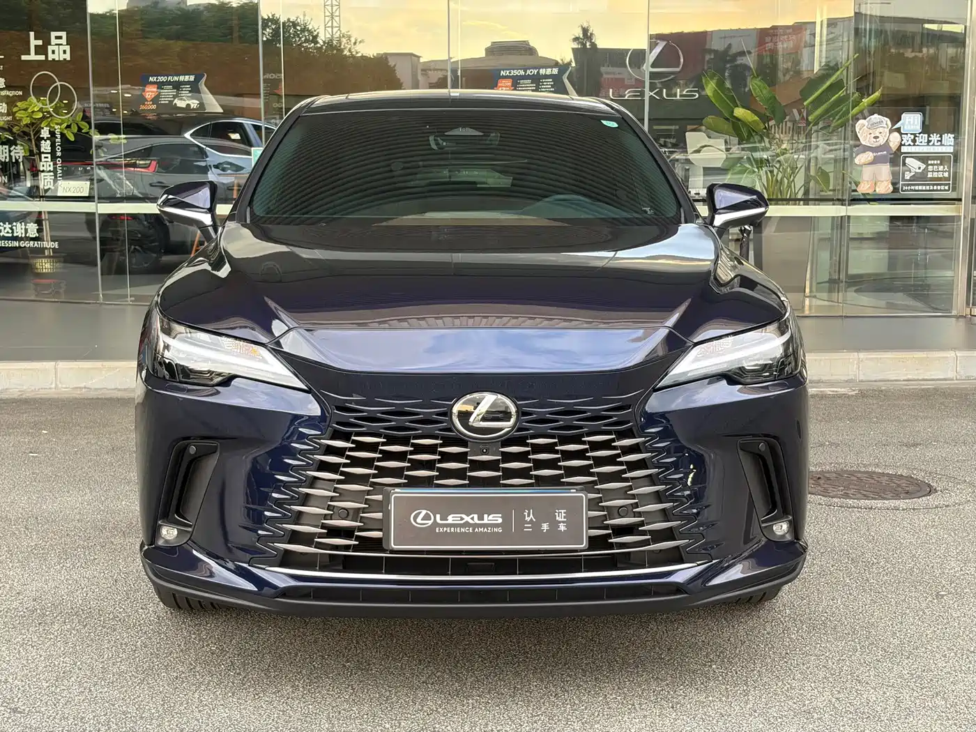 Lexus RX 2025 2025 300 4WD Premium Edition