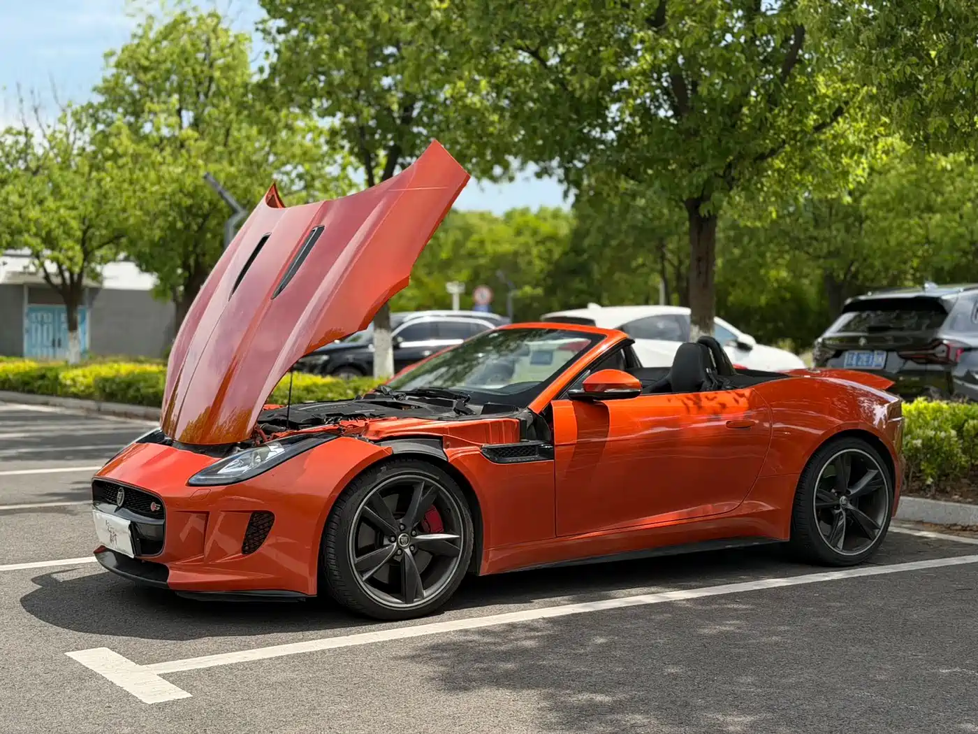Jaguar F-TYPE 2013 5.0 SC S Convertible China Limited Edition фото 4